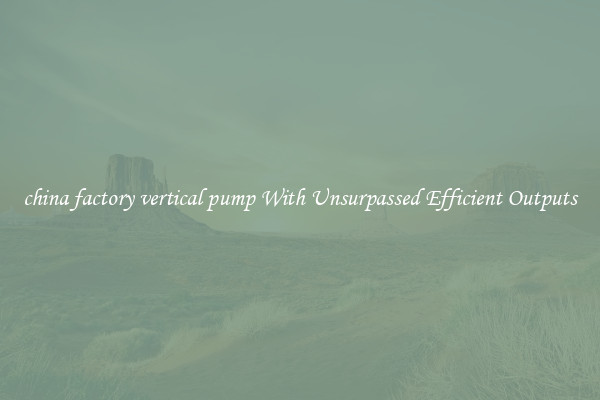 china factory vertical pump With Unsurpassed Efficient Outputs
