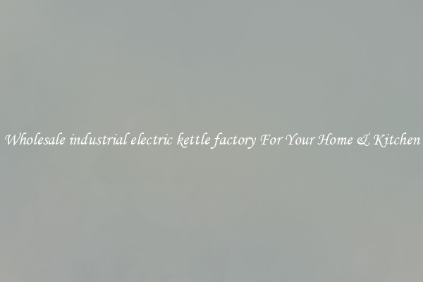 Wholesale industrial electric kettle factory For Your Home & Kitchen