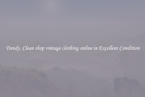 Trendy, Clean shop vintage clothing online in Excellent Condition