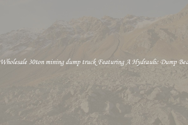 Wholesale 30ton mining dump truck Featuring A Hydraulic Dump Bed