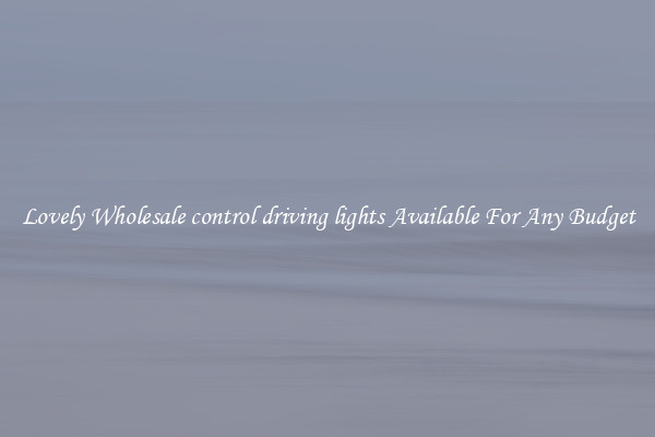 Lovely Wholesale control driving lights Available For Any Budget
