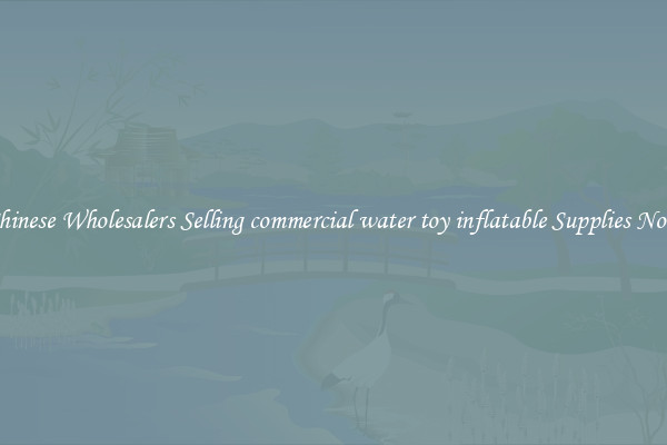 Chinese Wholesalers Selling commercial water toy inflatable Supplies Now