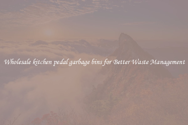 Wholesale kitchen pedal garbage bins for Better Waste Management