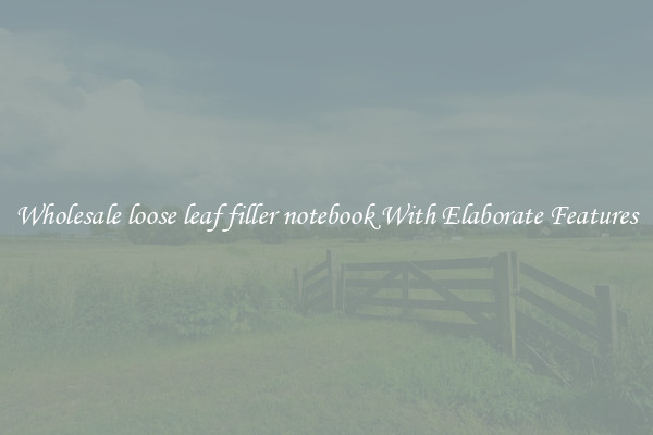 Wholesale loose leaf filler notebook With Elaborate Features