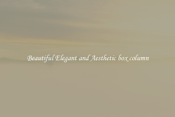 Beautiful Elegant and Aesthetic box column