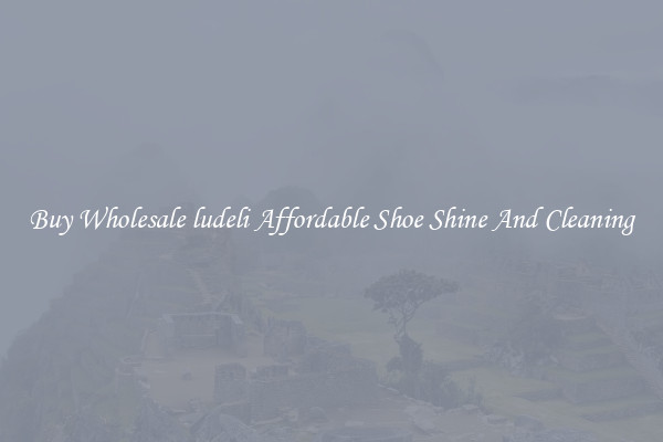 Buy Wholesale ludeli Affordable Shoe Shine And Cleaning