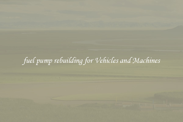 fuel pump rebuilding for Vehicles and Machines