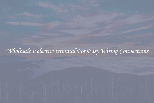Wholesale v electric terminal For Easy Wiring Connections