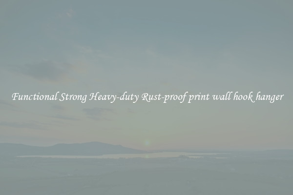Functional Strong Heavy-duty Rust-proof print wall hook hanger