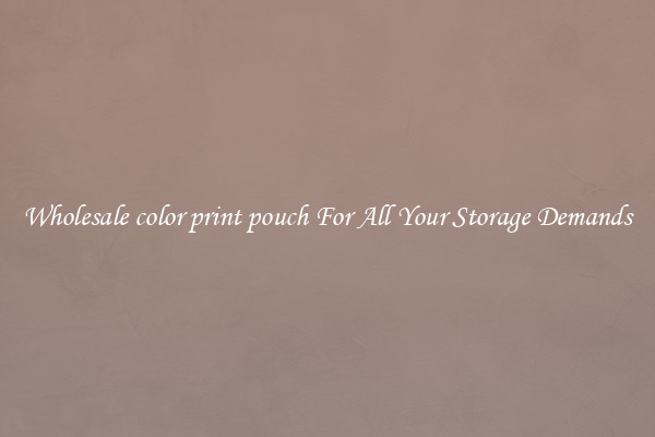 Wholesale color print pouch For All Your Storage Demands