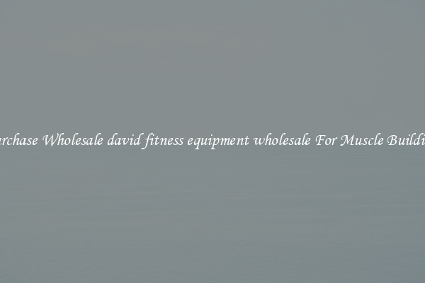 Purchase Wholesale david fitness equipment wholesale For Muscle Building.