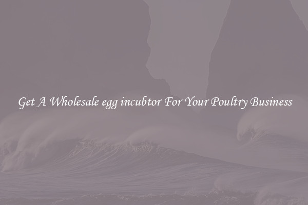 Get A Wholesale egg incubtor For Your Poultry Business