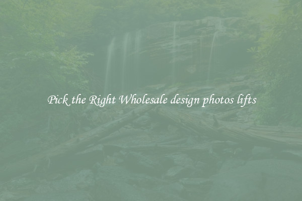 Pick the Right Wholesale design photos lifts