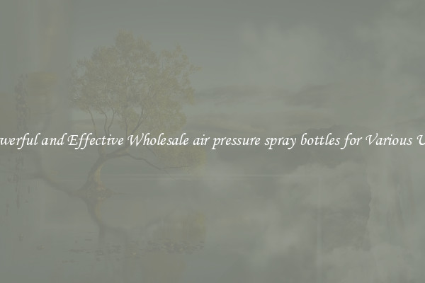 Powerful and Effective Wholesale air pressure spray bottles for Various Uses