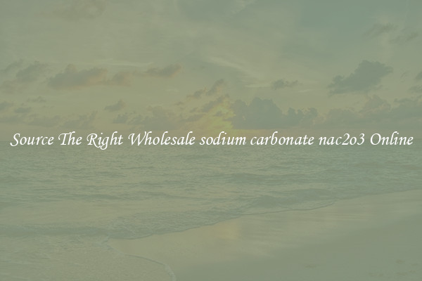 Source The Right Wholesale sodium carbonate nac2o3 Online