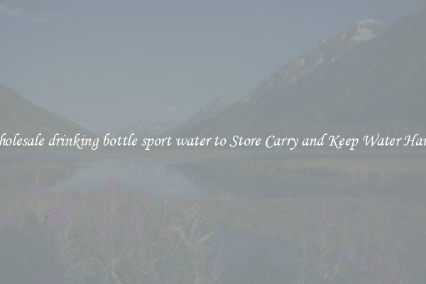 Wholesale drinking bottle sport water to Store Carry and Keep Water Handy