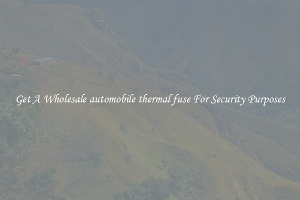 Get A Wholesale automobile thermal fuse For Security Purposes
