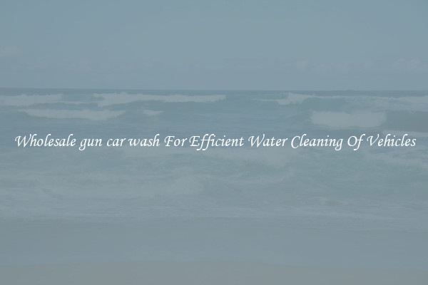 Wholesale gun car wash For Efficient Water Cleaning Of Vehicles