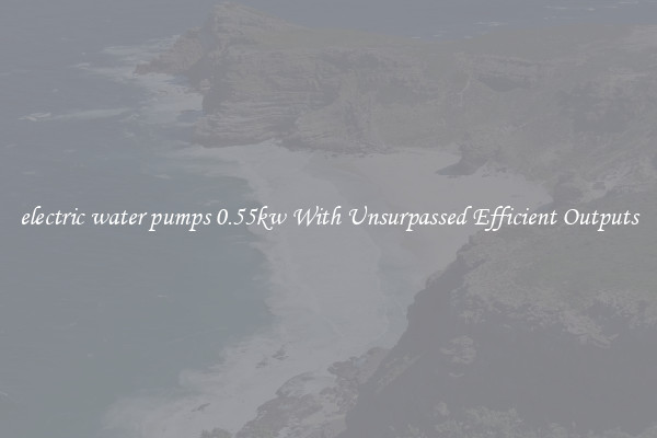 electric water pumps 0.55kw With Unsurpassed Efficient Outputs