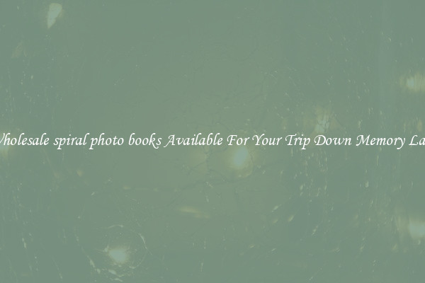 Wholesale spiral photo books Available For Your Trip Down Memory Lane