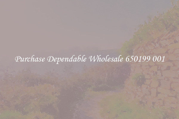 Purchase Dependable Wholesale 650199 001