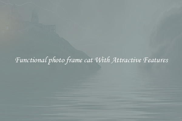 Functional photo frame cat With Attractive Features
