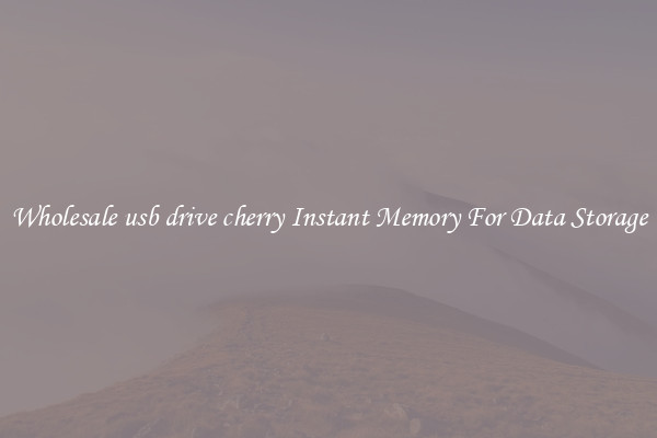 Wholesale usb drive cherry Instant Memory For Data Storage