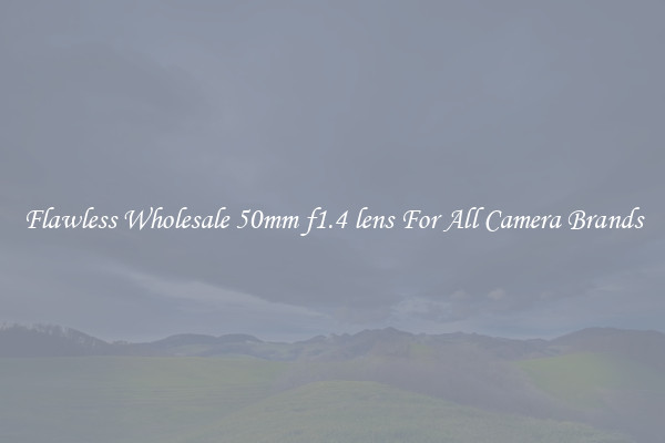 Flawless Wholesale 50mm f1.4 lens For All Camera Brands