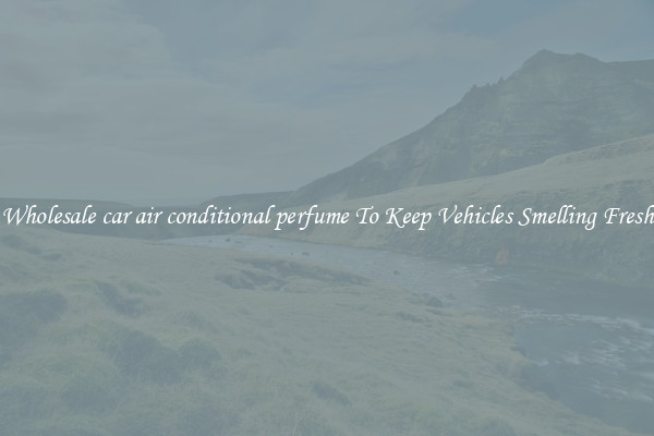 Wholesale car air conditional perfume To Keep Vehicles Smelling Fresh